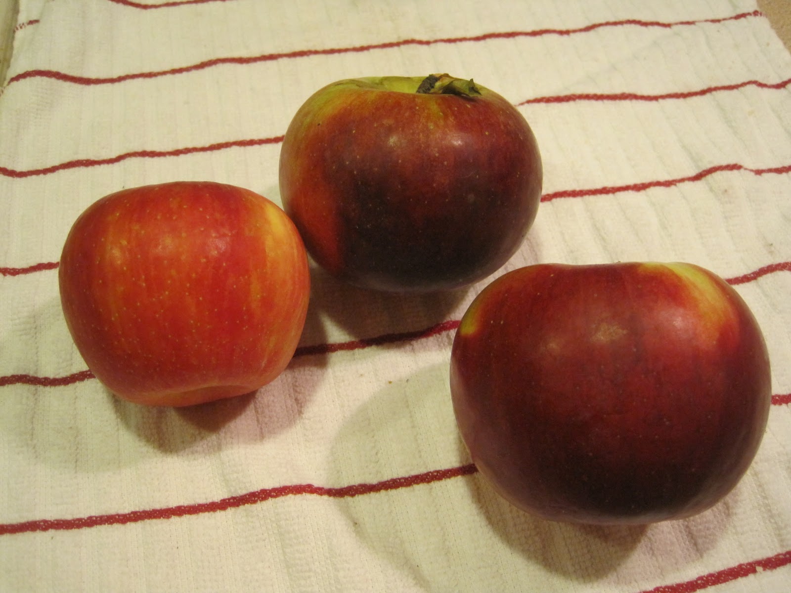 Bird in Hand Farm Dried Apple Heads