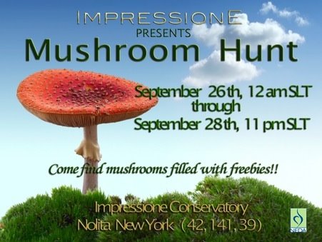 [mushroom%20hunt%20final%203.jpg]