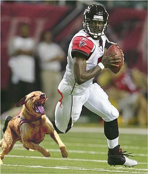 [mikedogs.bmp]