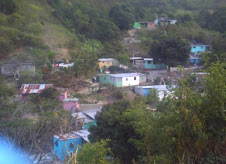 SECTOR LA UNION