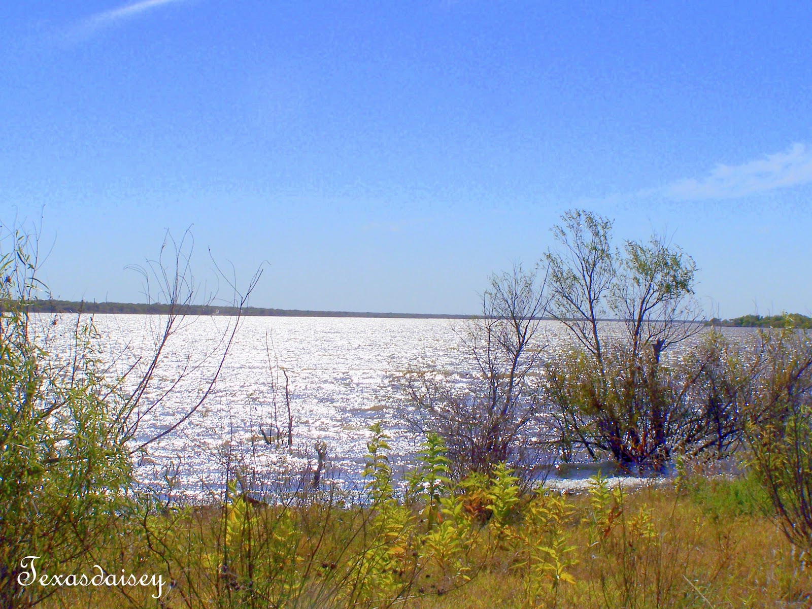 Texasdaisey Creations Secrets of Miller Creek Reservoir