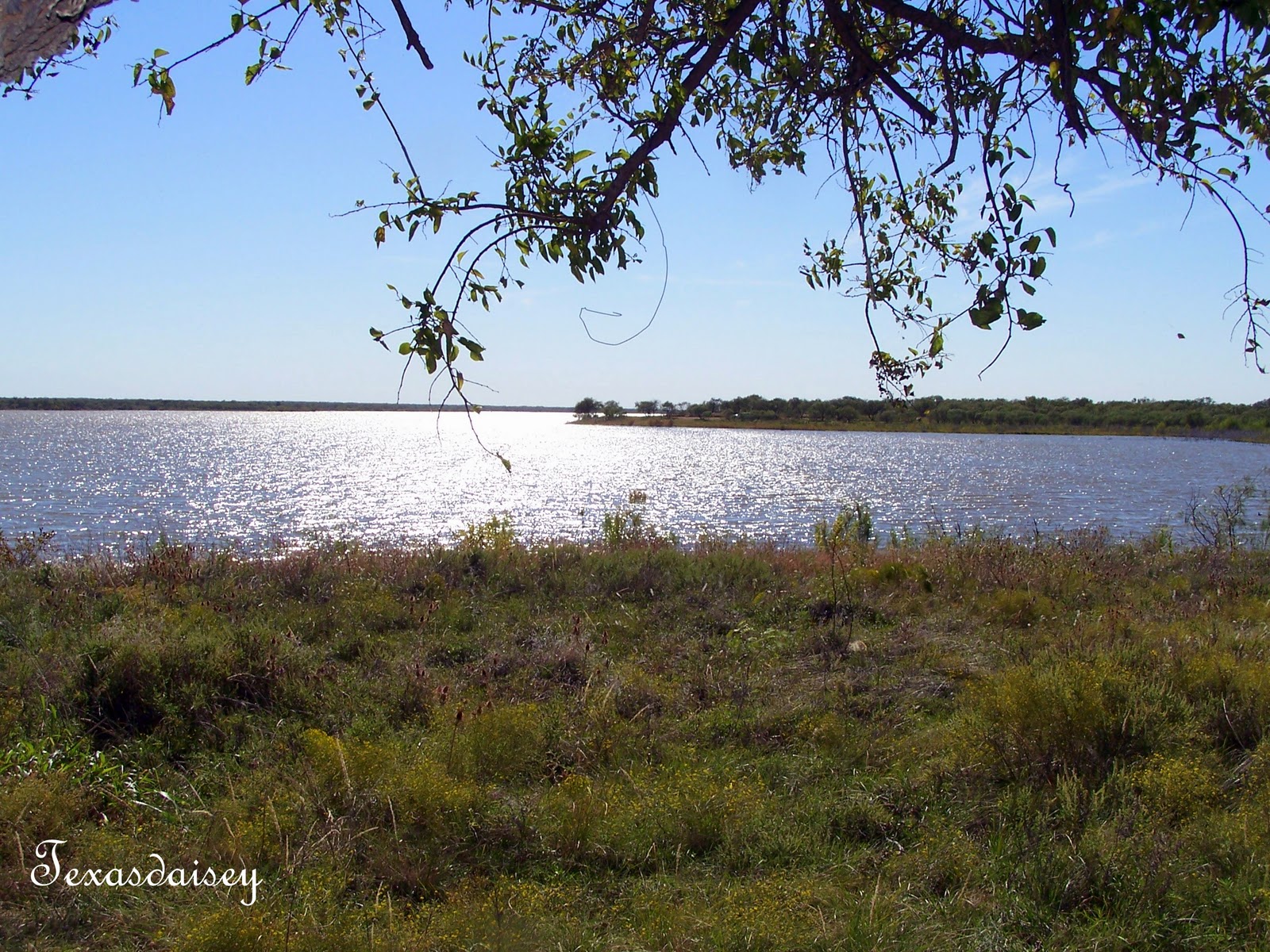 Texasdaisey Creations Secrets of Miller Creek Reservoir