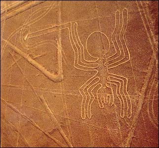 [Aranha.jpg]