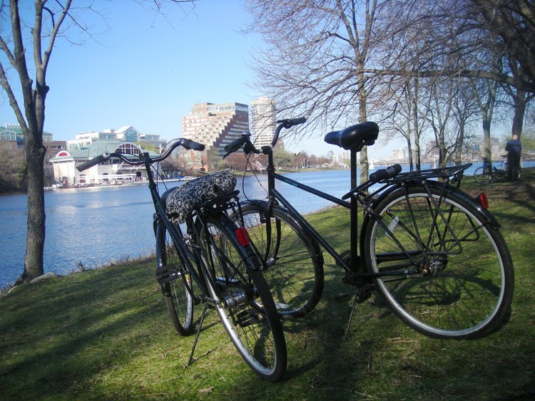 Budget Bikes What's Your View?