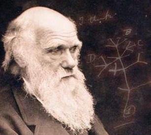 [Darwin+0oS[1].JPG]