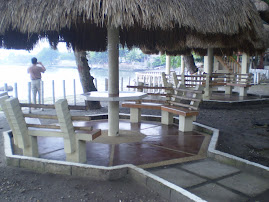 Bacong Tree House (huts)