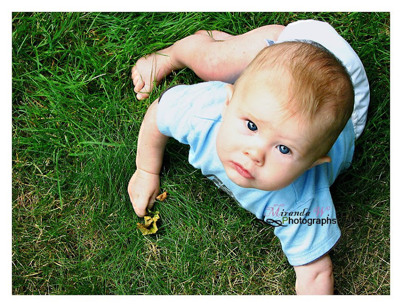 Baby Photography