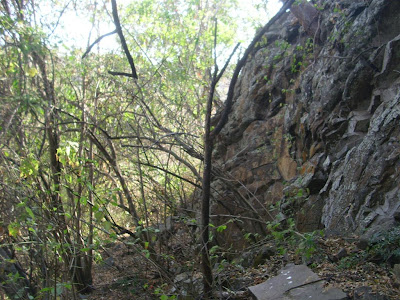 La Cueva camino a la Jara IMG_0407+%28Large%29