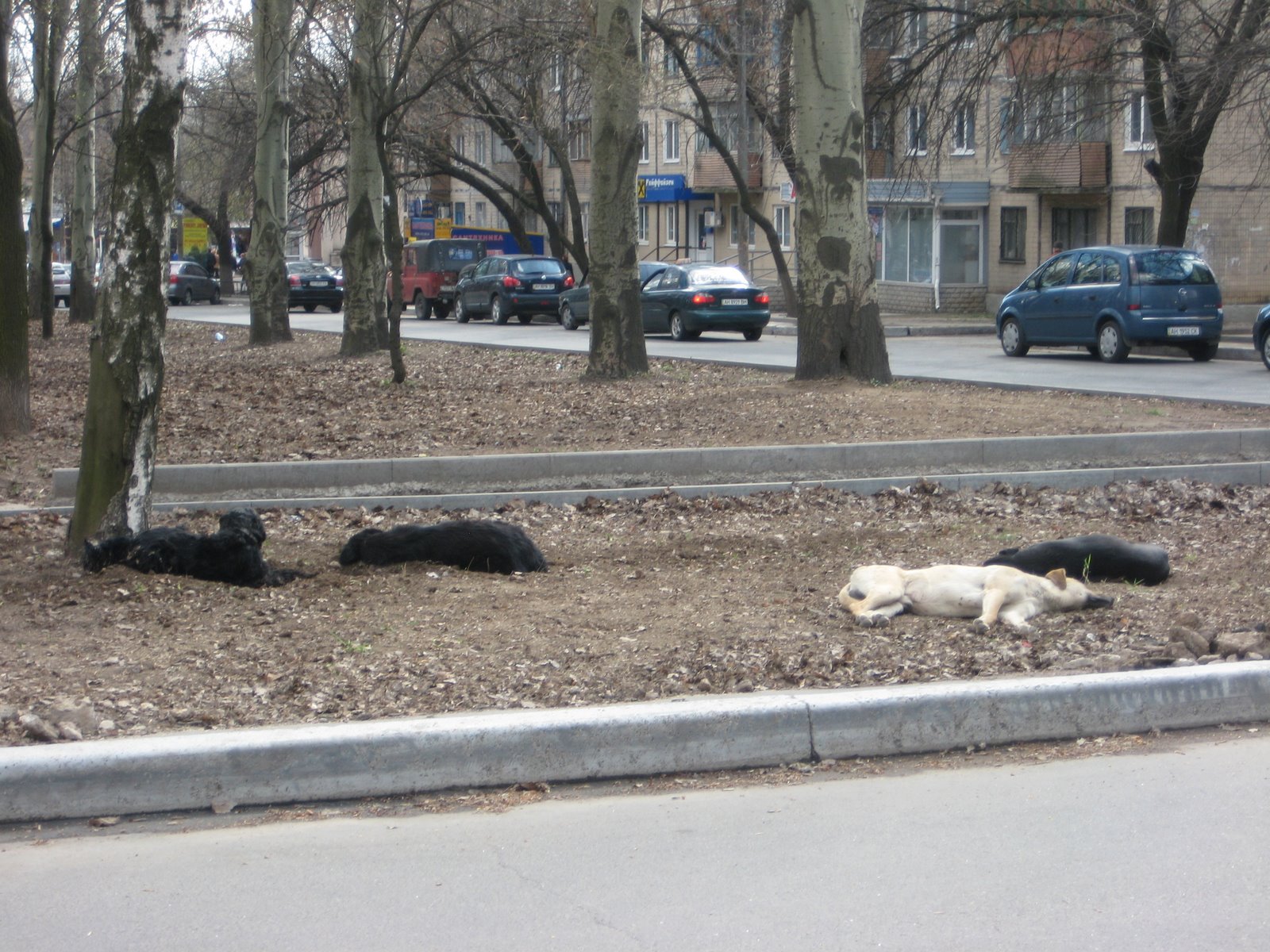 [IMG_9429.JPG]