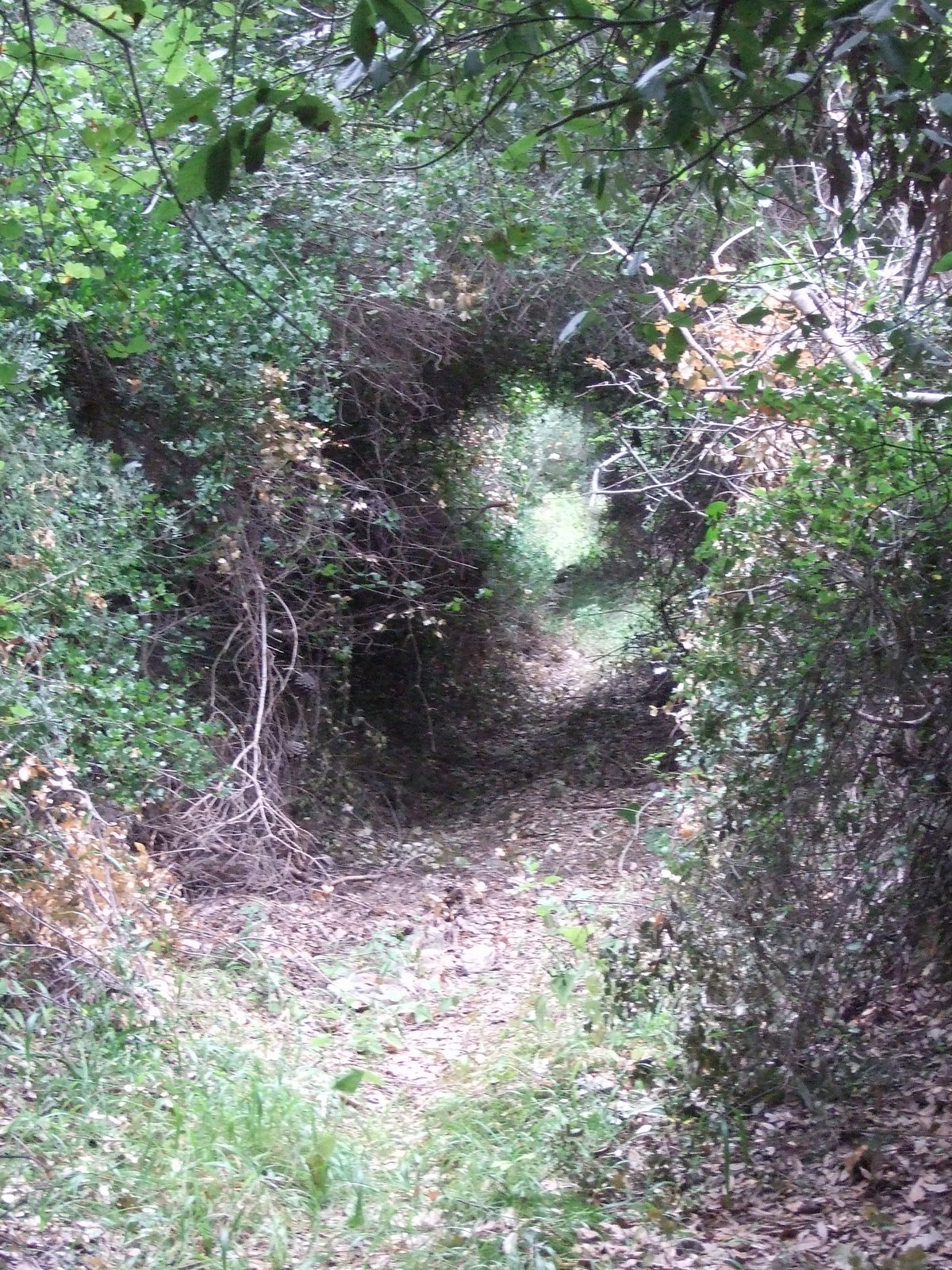 [DSCF1239.JPG]