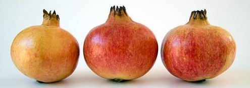 Pomegranate Picnic