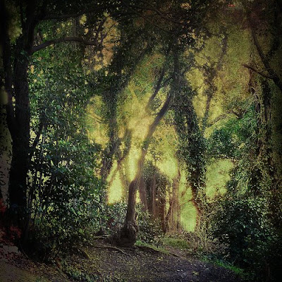 Flickr photo by Tangent~Artifact, here sometimes :)
