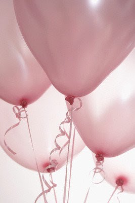 [17.bmp]