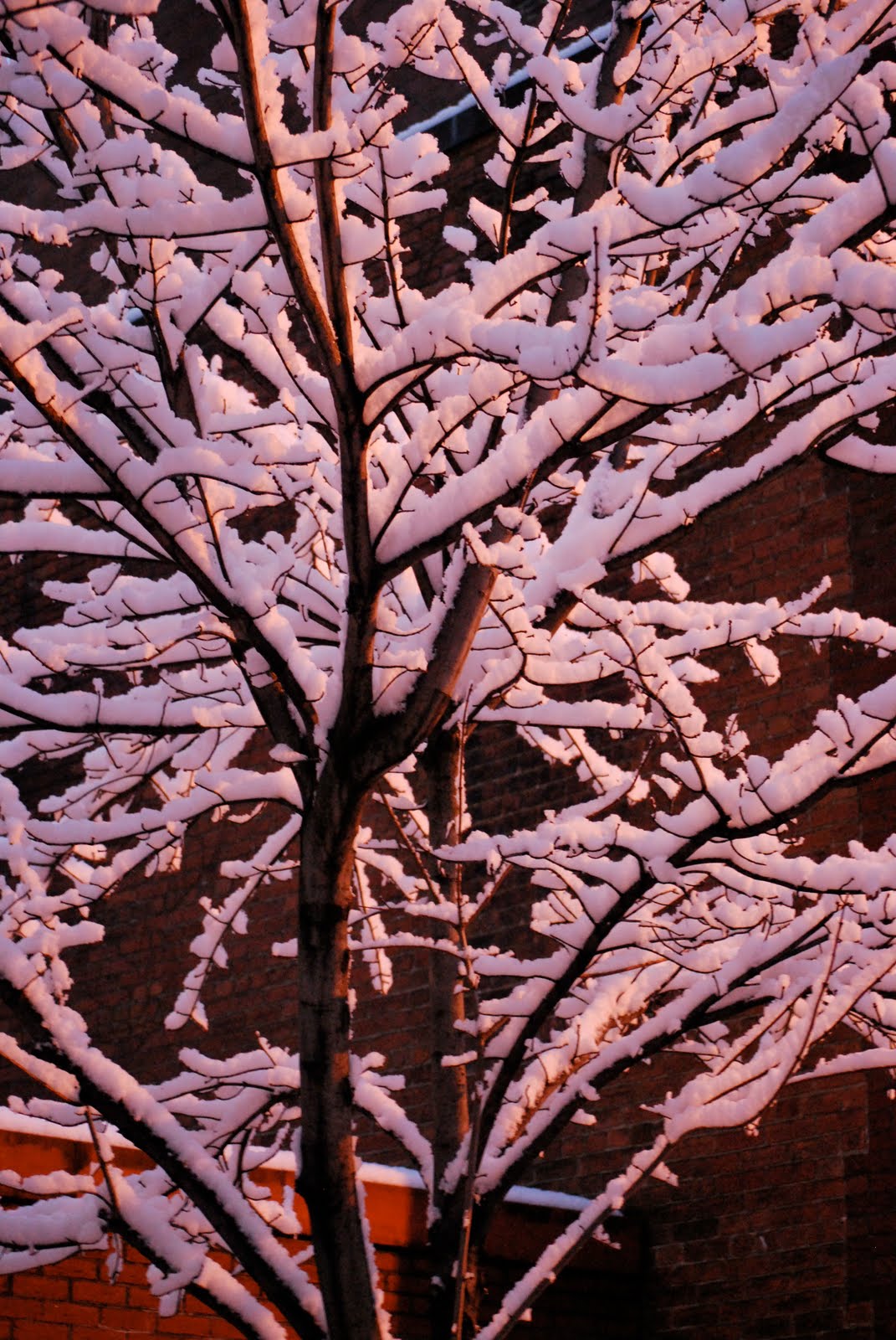 [DSC_0019.jpg]