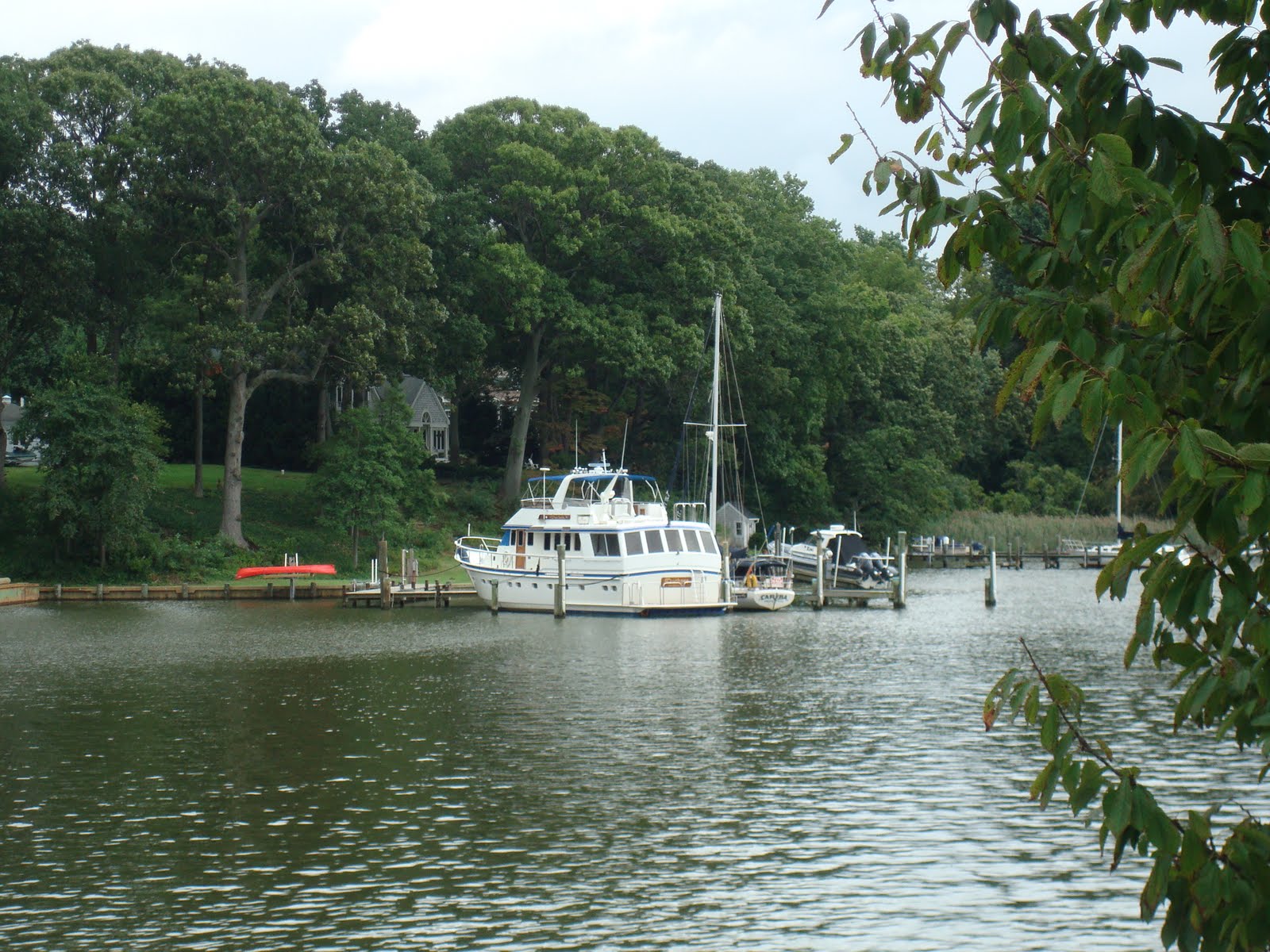 [DSC01279.JPG]