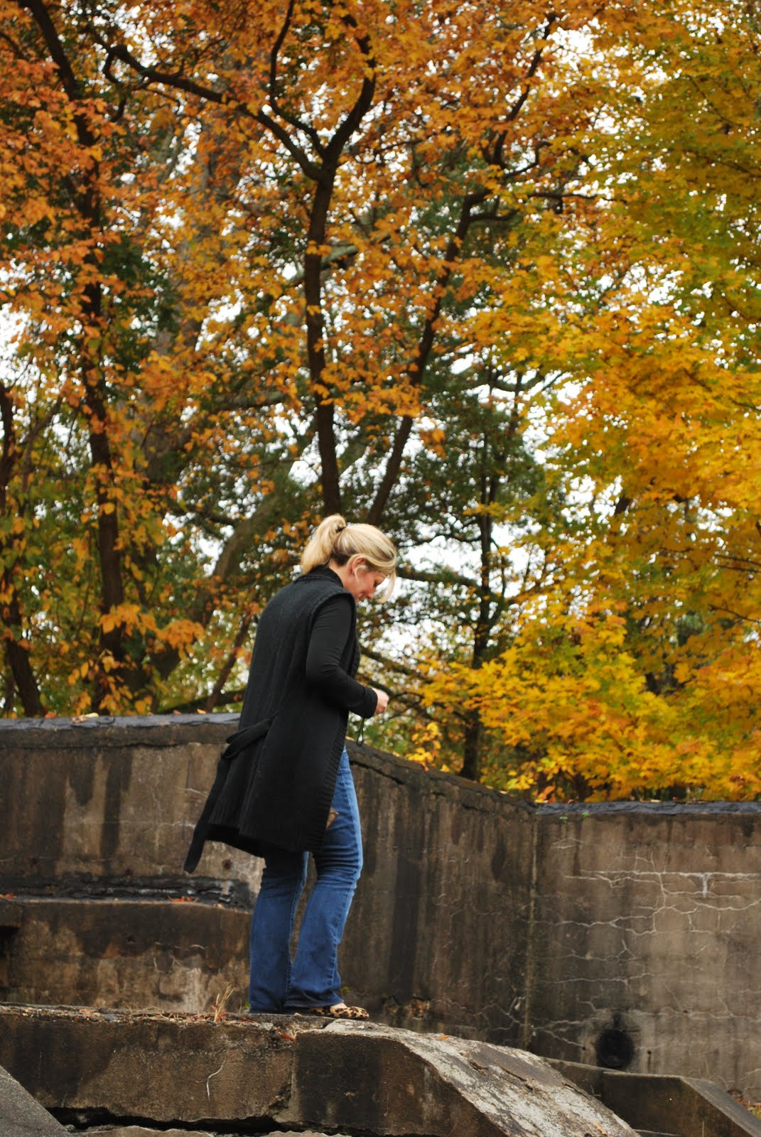 [DSC_0049.JPG]