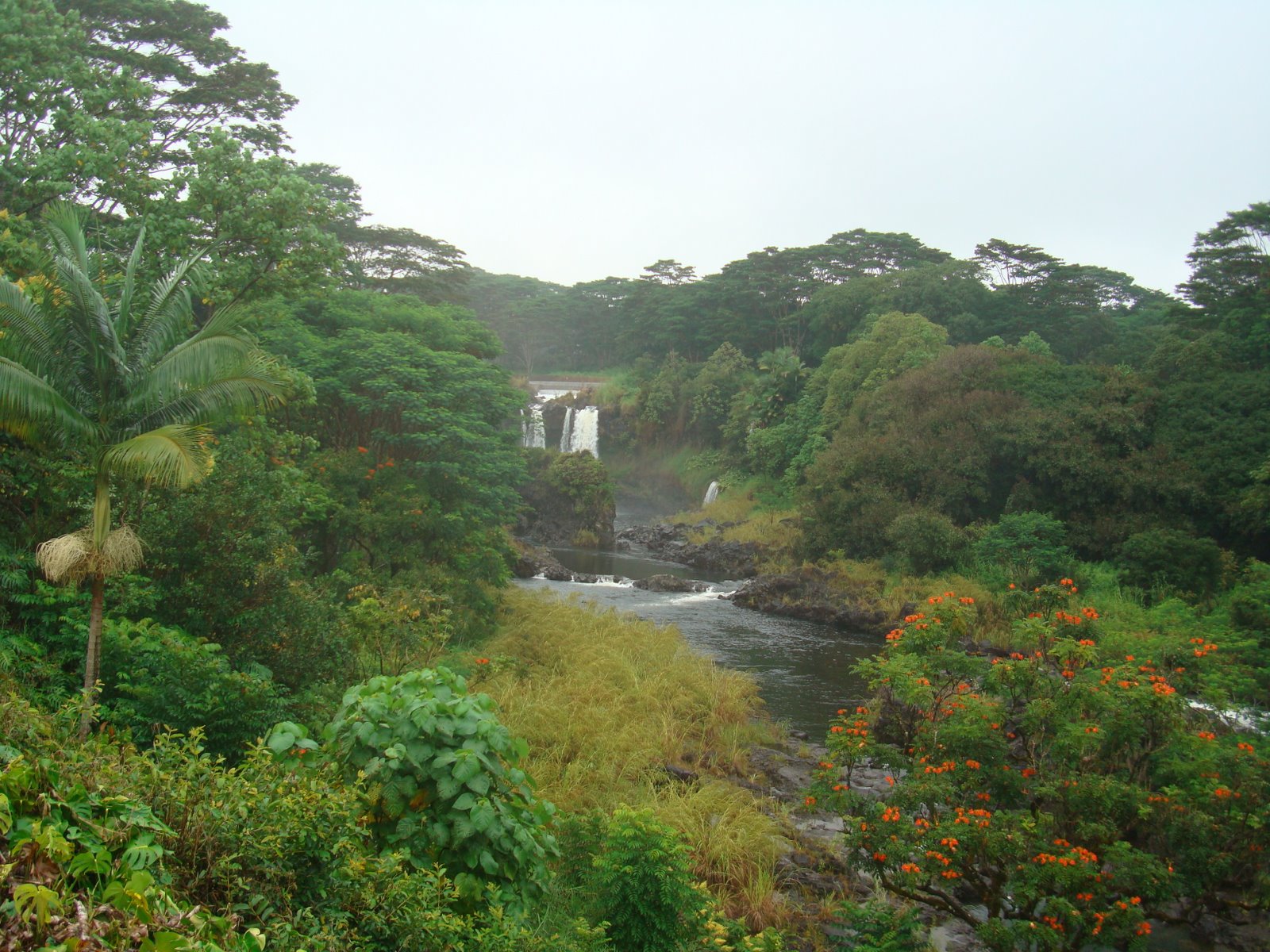 [DSC00808.JPG]