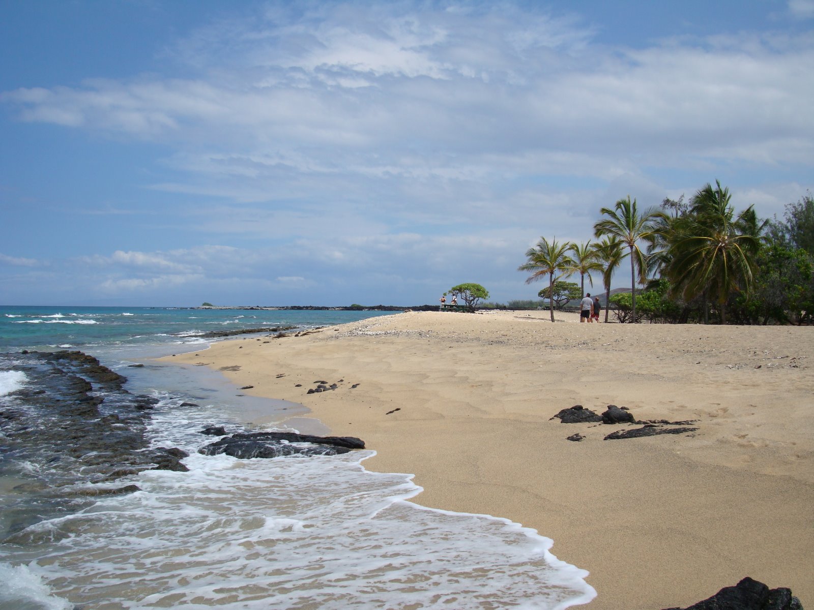 [DSC00614.JPG]