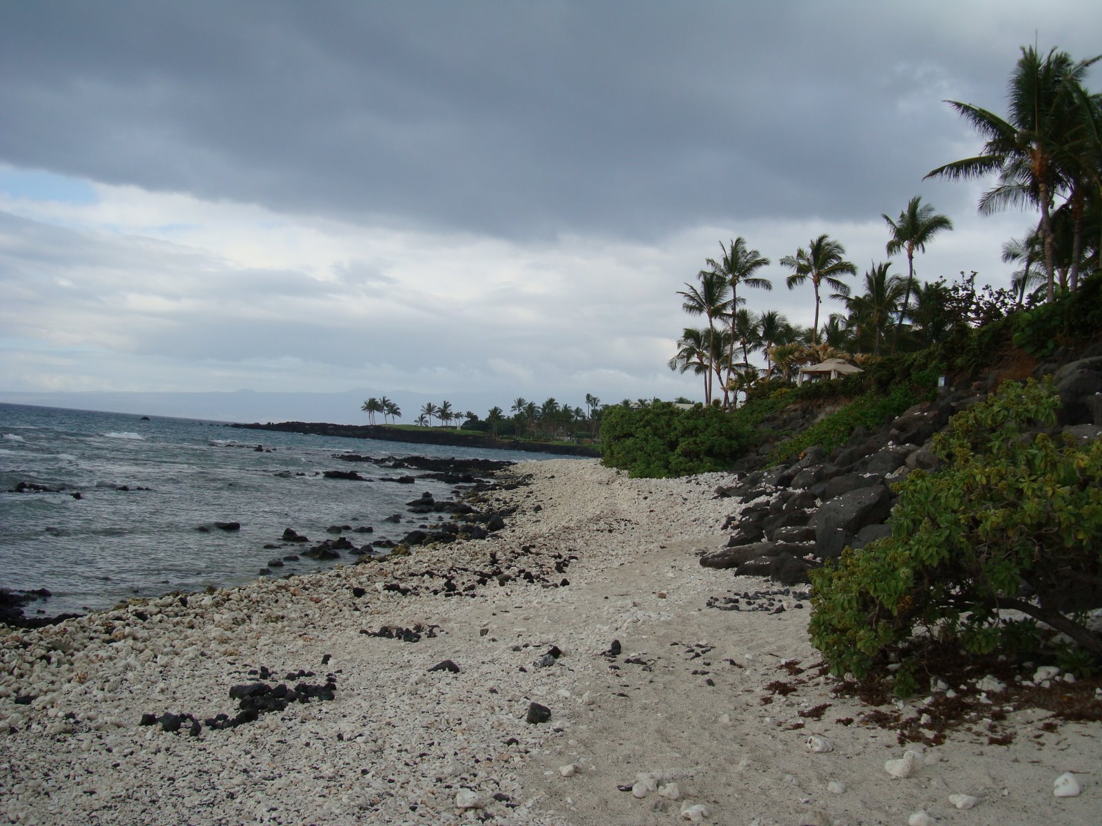 [DSC00639.JPG]
