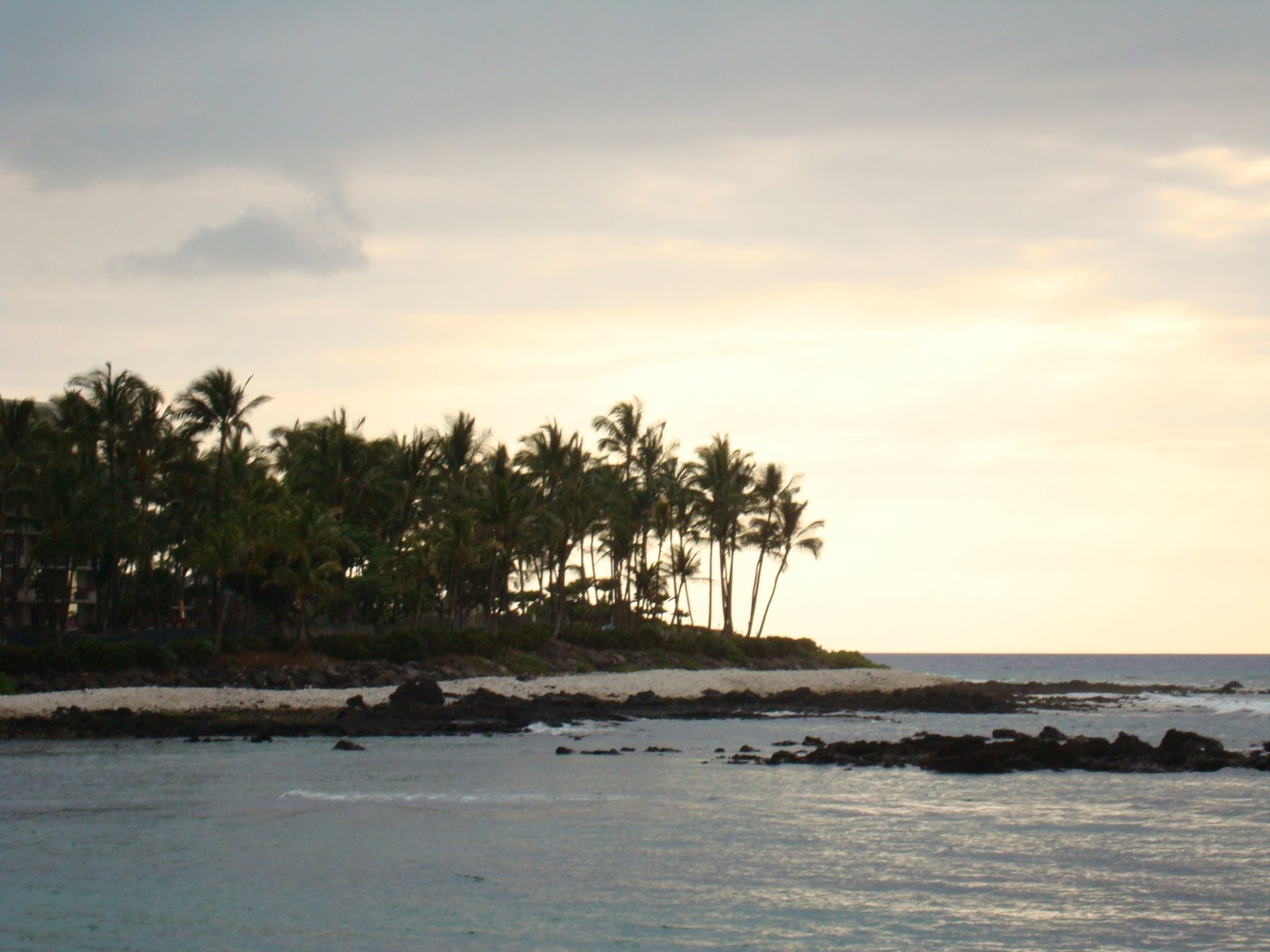 [DSC00652.JPG]