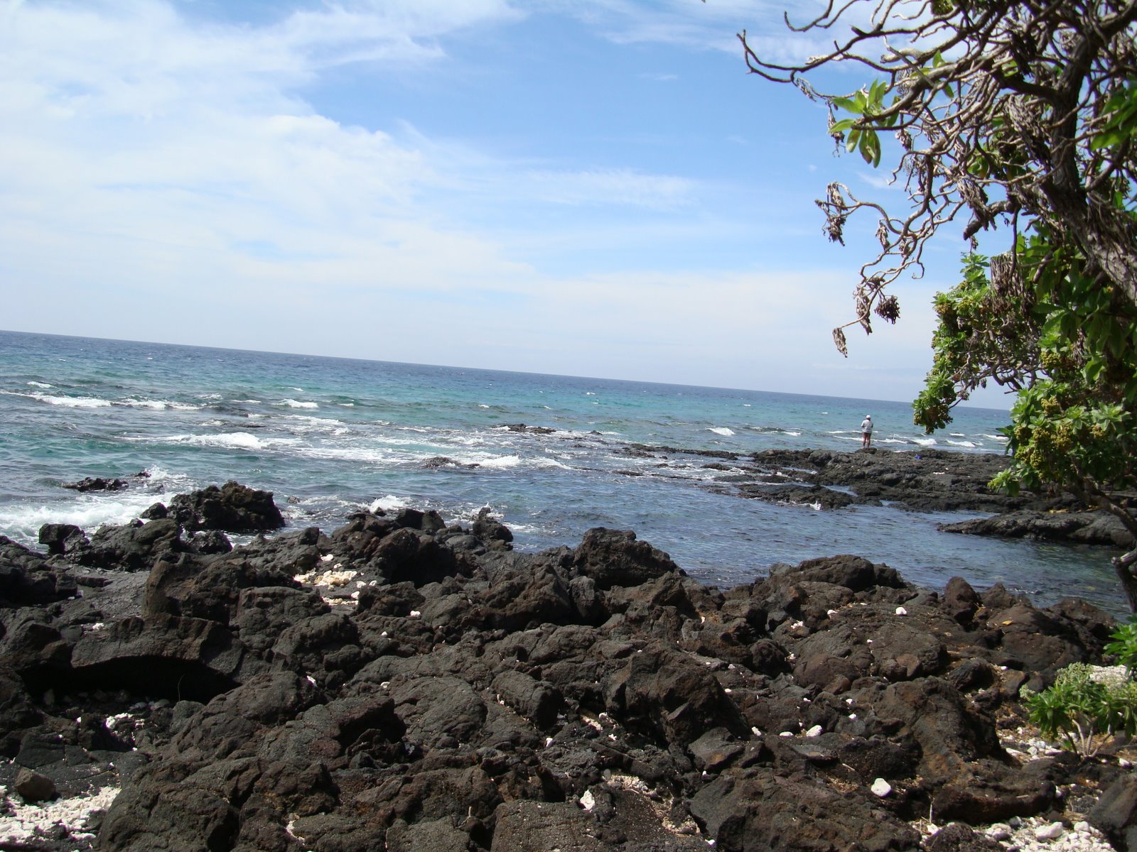 [DSC00864.JPG]