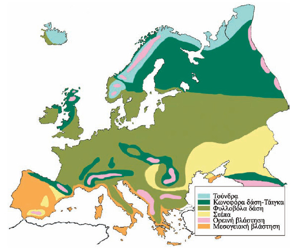 Η χλωρίδα και η πανίδα ? Η βλάστηση της Ευρώπης, Γεωγραφία Στ τάξης, εκαπιδευτικά λογισμικά, τύποι βλάστησης Ευρ'ωπης, χλωρίδα και πανίδα Ευρώπης, αυτοφυή φυτά , ενδημικά φυτά, κλιματικές ζώνες Ευρώπης, φυτική διάπλαση Ευρώπης, Διαμαντής Χαράλαμπος.