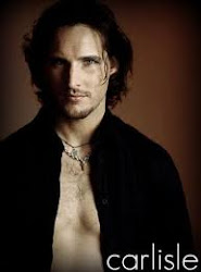 El doctor perfecto...