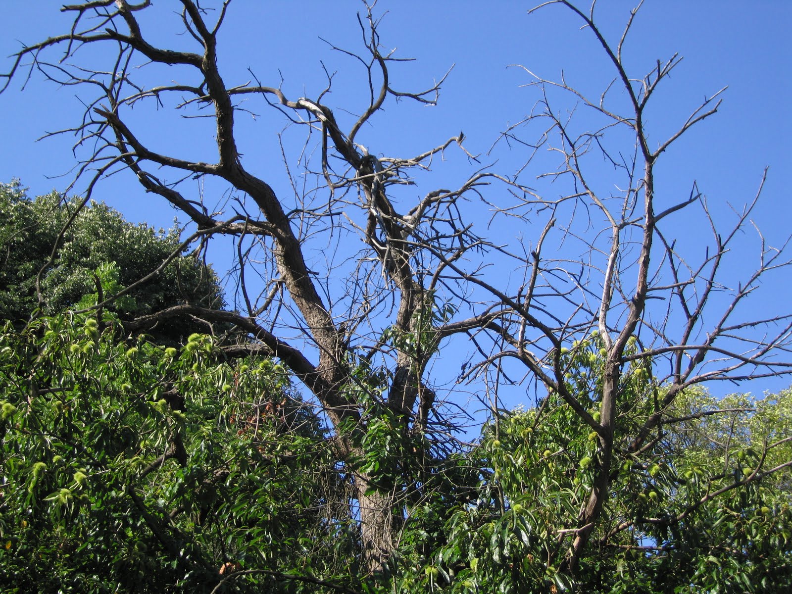 [IMG_5980.JPG]