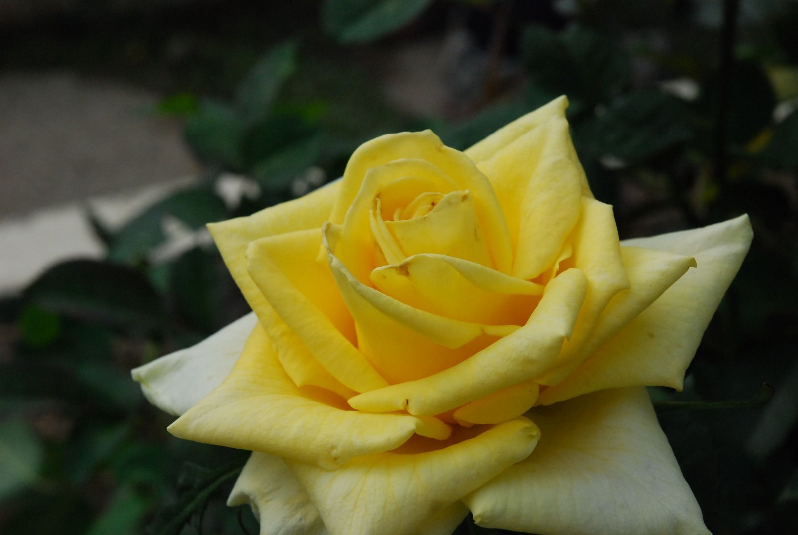 [DSC_0023.JPG]
