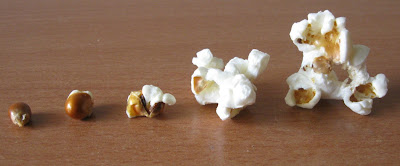popcorn mameli 1