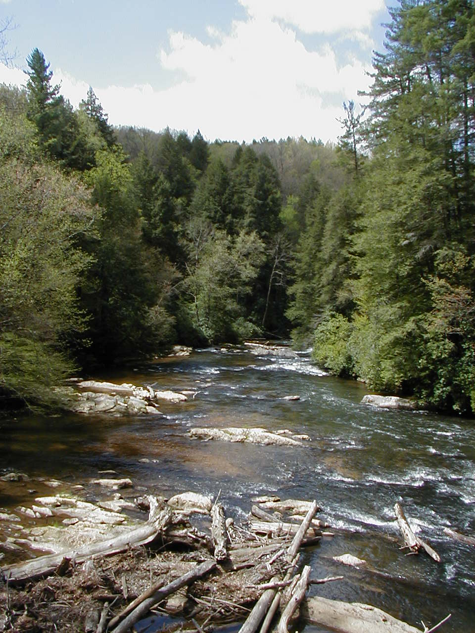 THE BLUE RIDGE EXPERIENCE Staying Cool in Blue Ridge