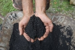 Biochar--Black Gold