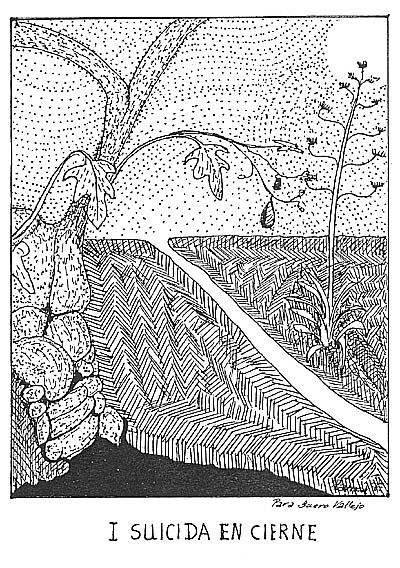 [Suicida+en+cierne.jpg]
