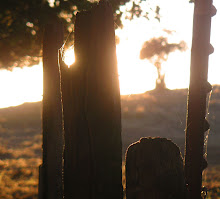 The Etheral Union of Lost Souls or Where the Fence Ends: