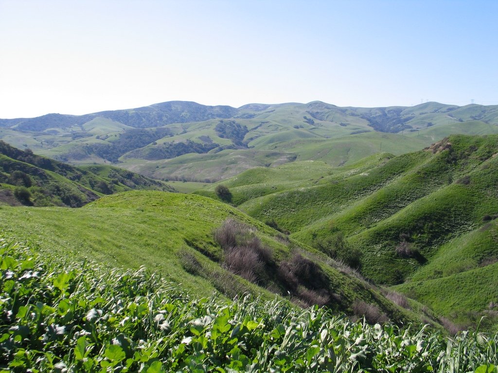 Southern California Hiking Trails Chino Hills State Park