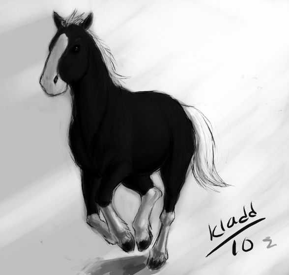 Deformed+horses