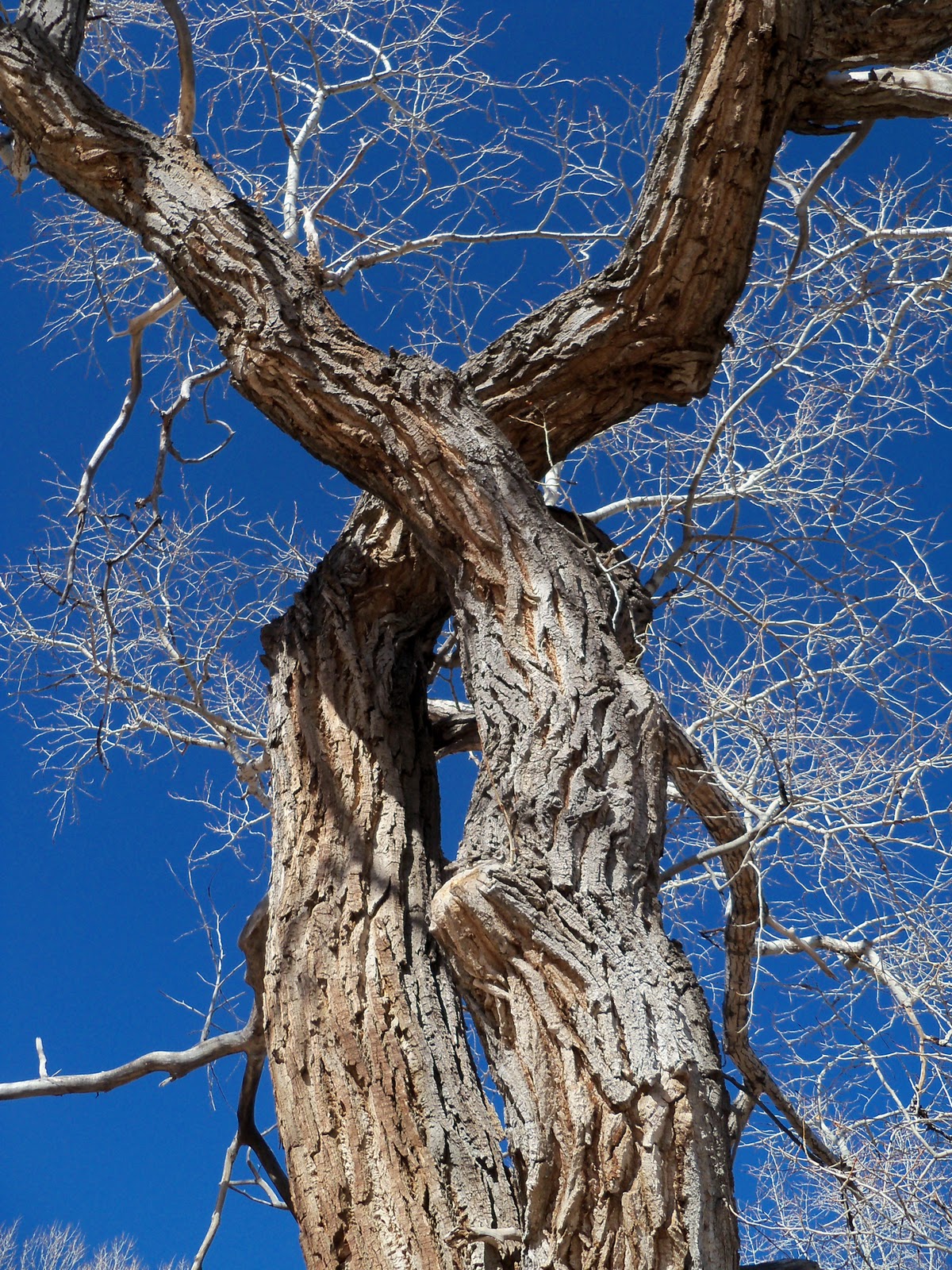 Trail and Park Reviews Hildebrand Ranch Park a new park in Jefferson