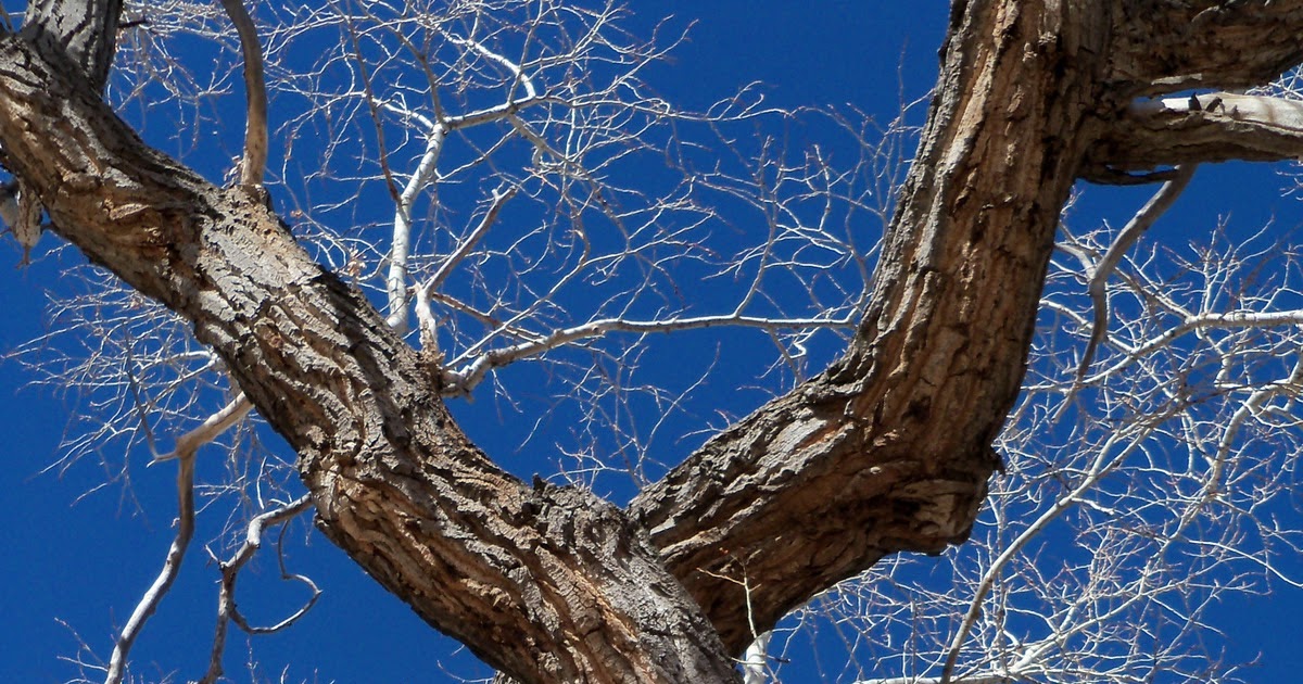 Trail and Park Reviews Hildebrand Ranch Park a new park in Jefferson