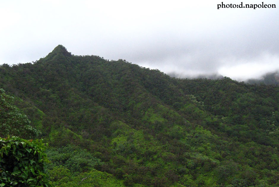 Island Trails: Pu&rsquo;u O Kila - June 11, 2009