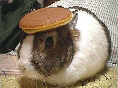 [pancake3.jpg]