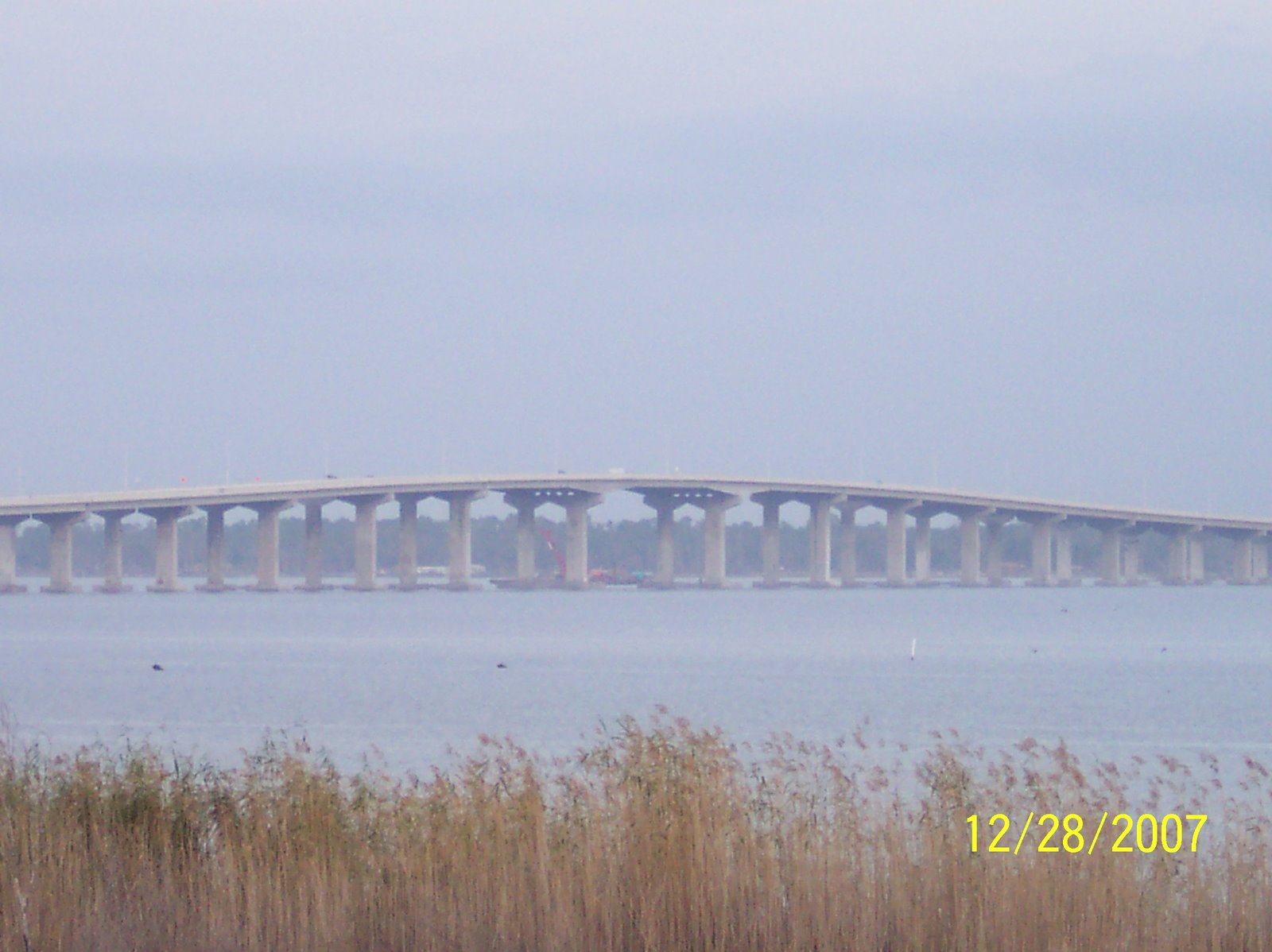 [100_0611.jpg]