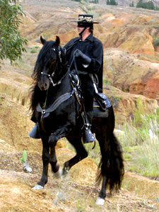 caballos caballos
