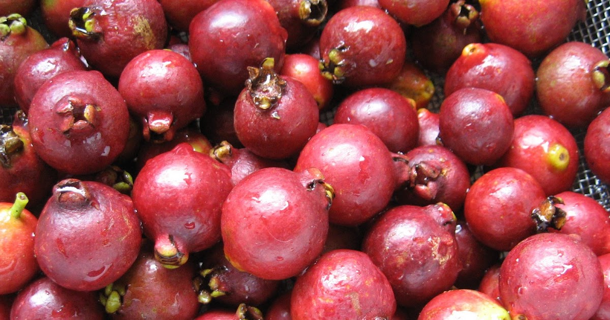 SimplydaBest! Cherry Guava Jelly