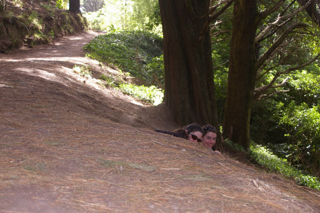 hobbits hiding
