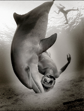 ZENA HOLLOWAY