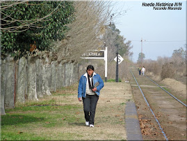 LARGA VIDA AL FERROCARRIL III