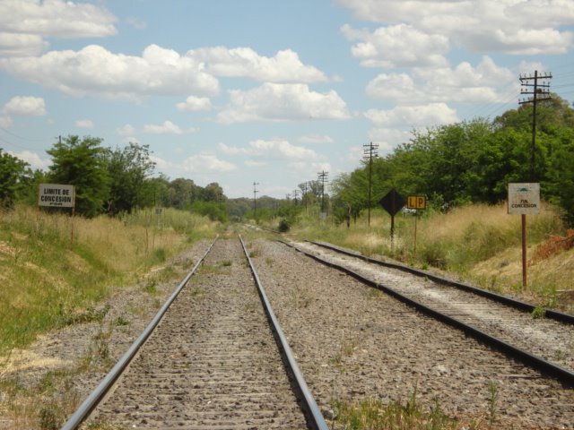 [DSC00767.JPG]