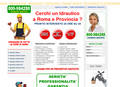 Miniatura di idraulico-roma.org