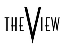 Eighty MPH Mom The view Ambassador