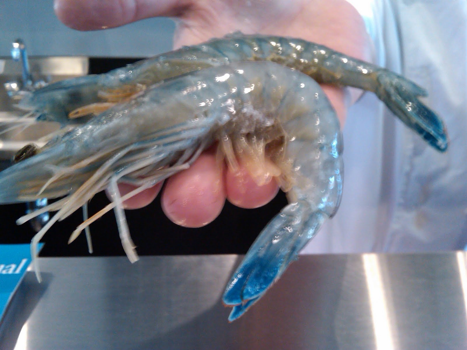 I'll Bite Charlotte gets a freshfish market